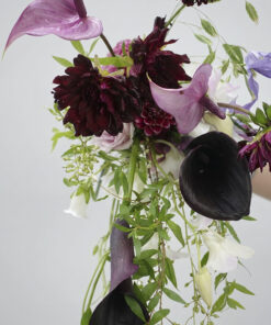 Cận cảnh hoa Calla Lily đen, Hồng Môn tím và Thược Dược đỏ rượu trong Hoa Cưới Calla Lily Đen Phối Hồng Môn