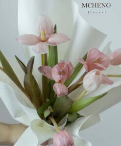Cận cảnh vẻ đẹp ngọt ngào của mẫu hoa Tulip hồng pastel mướt mắt