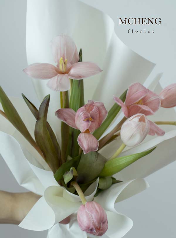 Chi Tiet Hoa Bo Tulip Hong Pastel Mcheng Florist Cận cảnh vẻ đẹp ngọt ngào của mẫu hoa Tulip hồng pastel mướt mắt