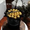 mẫu Hộp Hoa Socola Ferrero thiết kế quyền lực tại Mcheng Florist