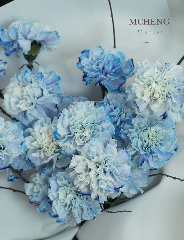 Chi Tiet Hoa Bo Cam Chuong Xanh Phoi Canh Kho Mcheng Florist Cận cảnh màu loang nghệ thuật của mẫu Hoa Bó Cẩm Chướng Xanh Phối Cành Khô