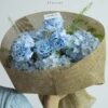 Mẫu Hoa Bó Cẩm Tú Cầu Mix Cẩm Chướng Xanh thiết kế thanh lịch tại Mcheng Florist