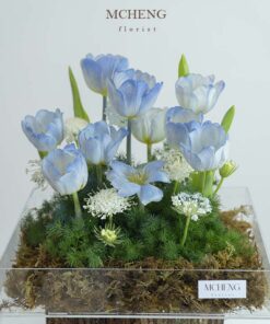 Mẫu Hộp Hoa Mica Tulip Xanh Dương thiết kế mộng mơ tại Mcheng Florist
