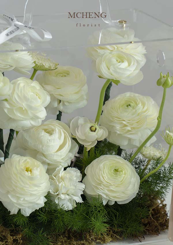 Chi Tiet Hop Hoa Mica Mao Luong Trang Mcheng Florist Cận cảnh vẻ đẹp kiêu kỳ của hoa Mao Lương trắng bên trong hộp mica