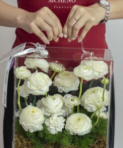 Kích thước thực tế hộp hoa mica Mao Lương trắng thanh lịch trên tay khách hàng