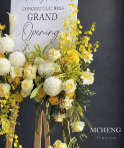 Cận cảnh vẻ đẹp bừng sáng của Cúc Mẫu Đơn trắng và Lan Vũ Nữ vàng