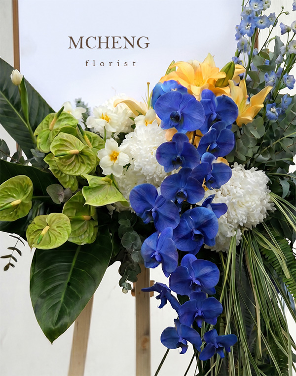 Chi Tiet Ke Hoa Chuc Mung Lan Ho Diep Xanh Duong Mcheng Florist Cận cảnh vẻ đẹp quyền lực của Lan Hồ Điệp xanh dương và Hồng Môn xanh lá