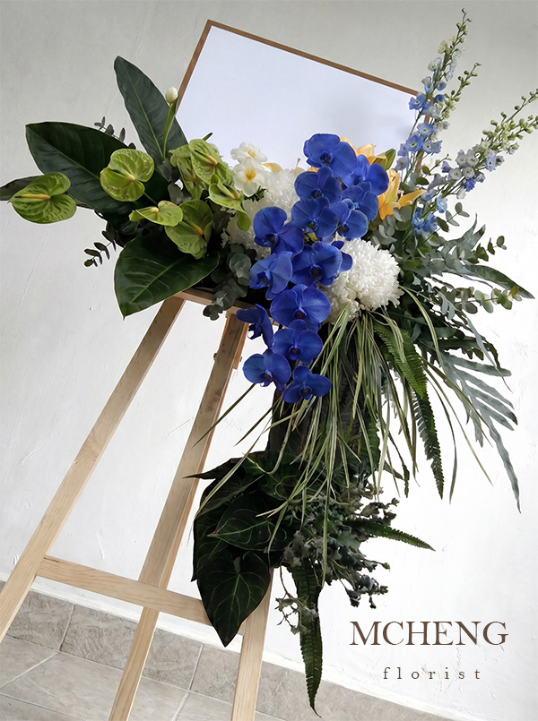 Thuc Te Ke Hoa Chuc Mung Lan Ho Diep Xanh Duong Mcheng Kích thước thực tế kệ hoa chúc mừng lan hồ điệp xanh dương trên giá gỗ mộc mạc