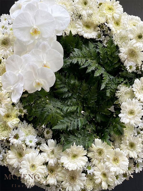 Chi Tiet Ke Hoa Chia Buon Vong Tron Trang Mcheng Florist ận cảnh nét thanh cao của Lan Hồ Điệp trắng và Cúc Đồng Tiền trên kệ hoa tang lễ