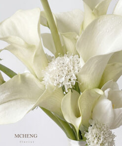 Cận cảnh vẻ đẹp trong trẻo của hoa Calla Lily trắng và hoa Tulip trắng trong Hoa Cưới Calla Mix Tulip Trắng