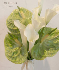 Cận cảnh sự kết hợp độc đáo giữa hoa Calla Lily trắng và Hồng Môn xanh lá