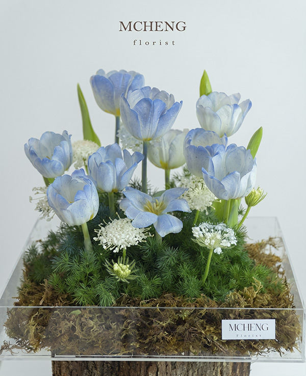 Hộp Hoa Mica